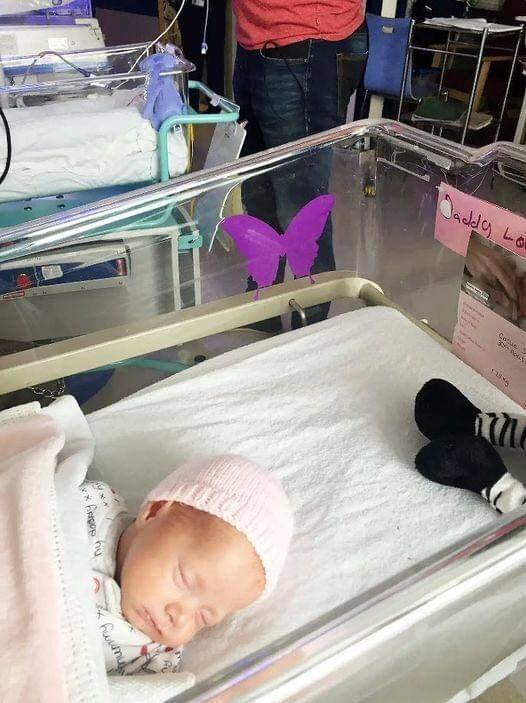 If you see a purple butterfly sticker near a newborn baby, you need to know what it means